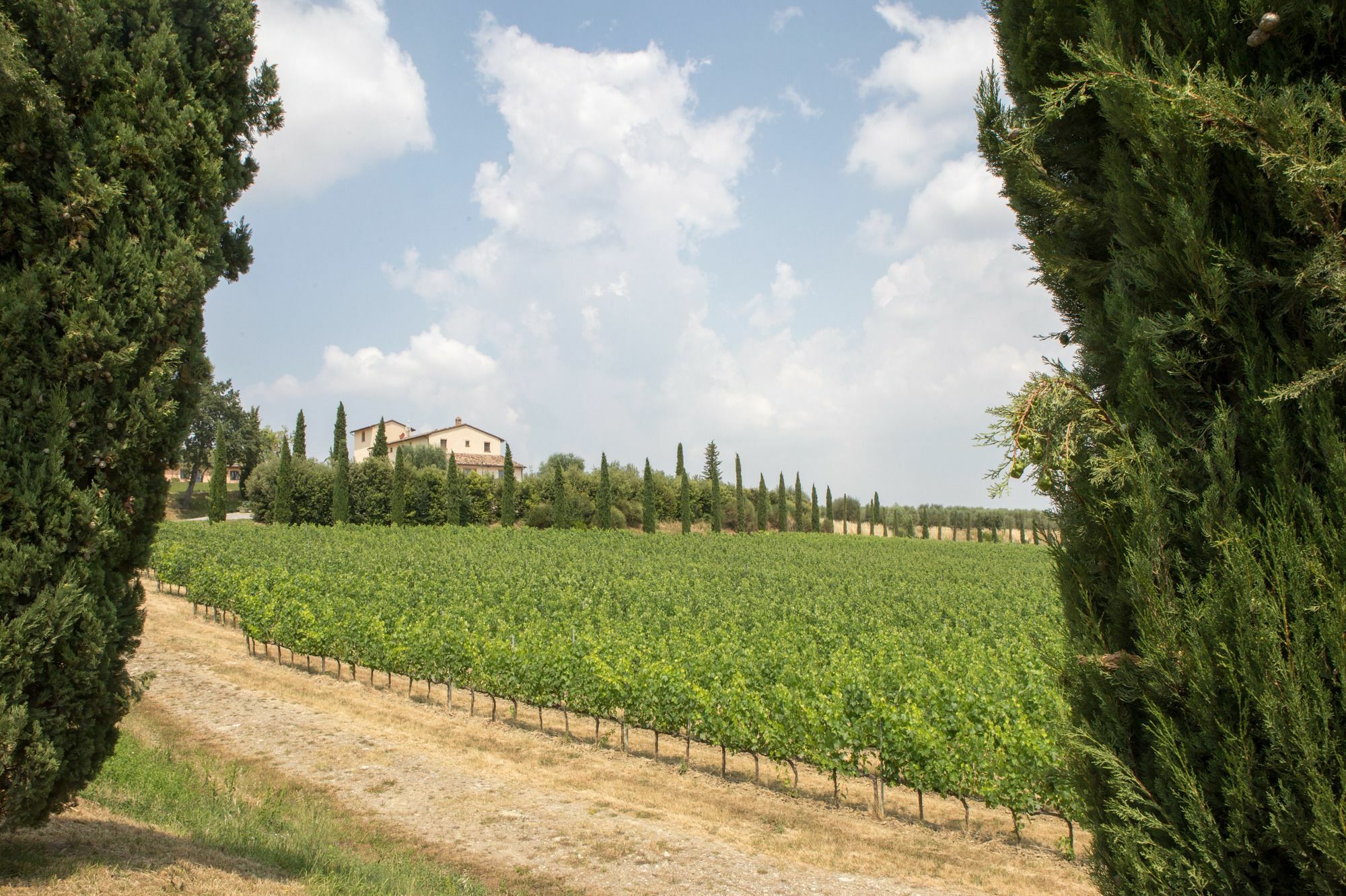 Le Buche Wine Resort&Spa Macciano Exterior photo