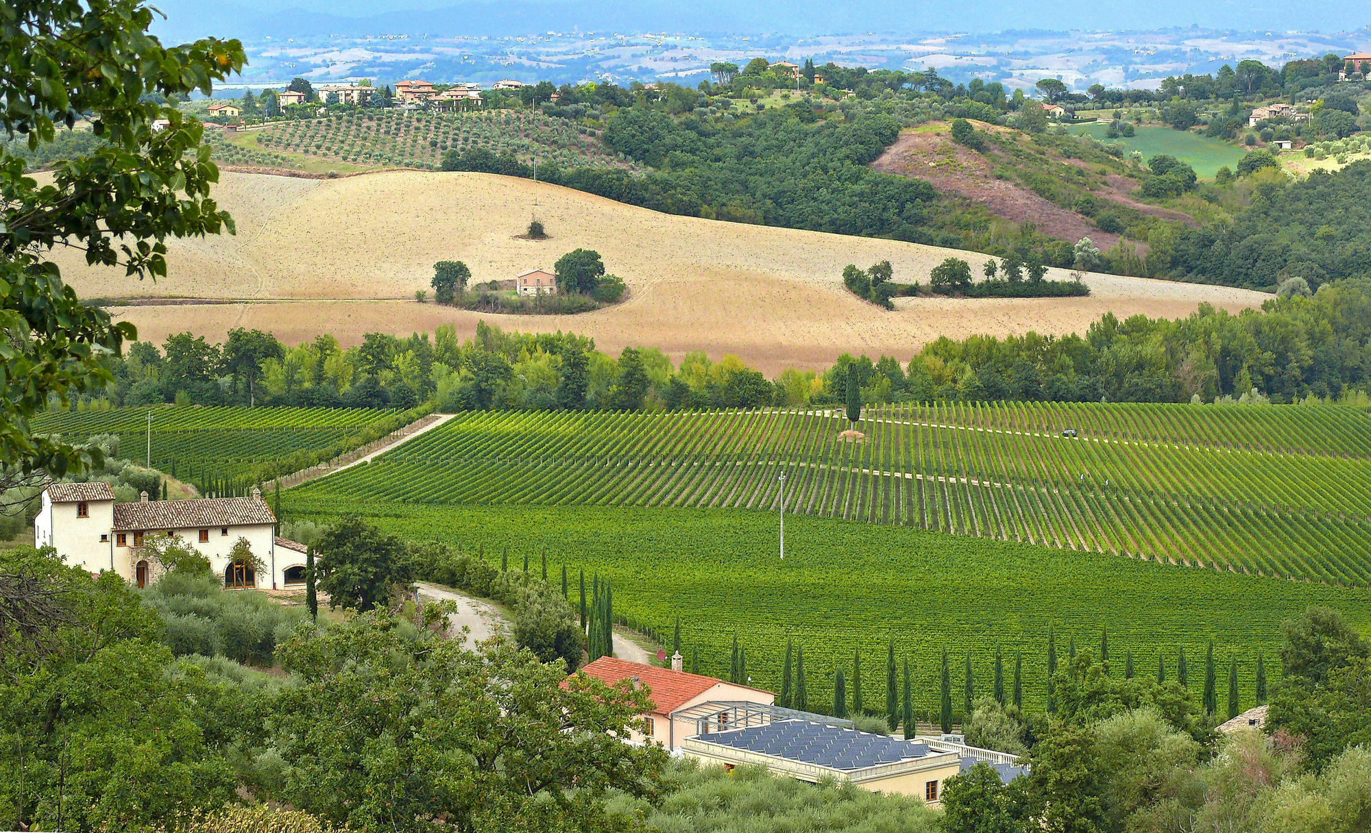 Le Buche Wine Resort&Spa Macciano Exterior photo